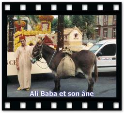 Cliquez pour agrandir l'image